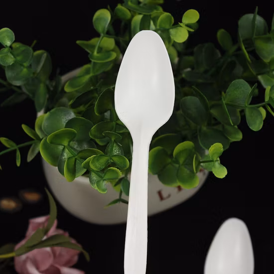 Disposable Light Weight Plastic Cutlery PP 2g 165mm Tea Spoon